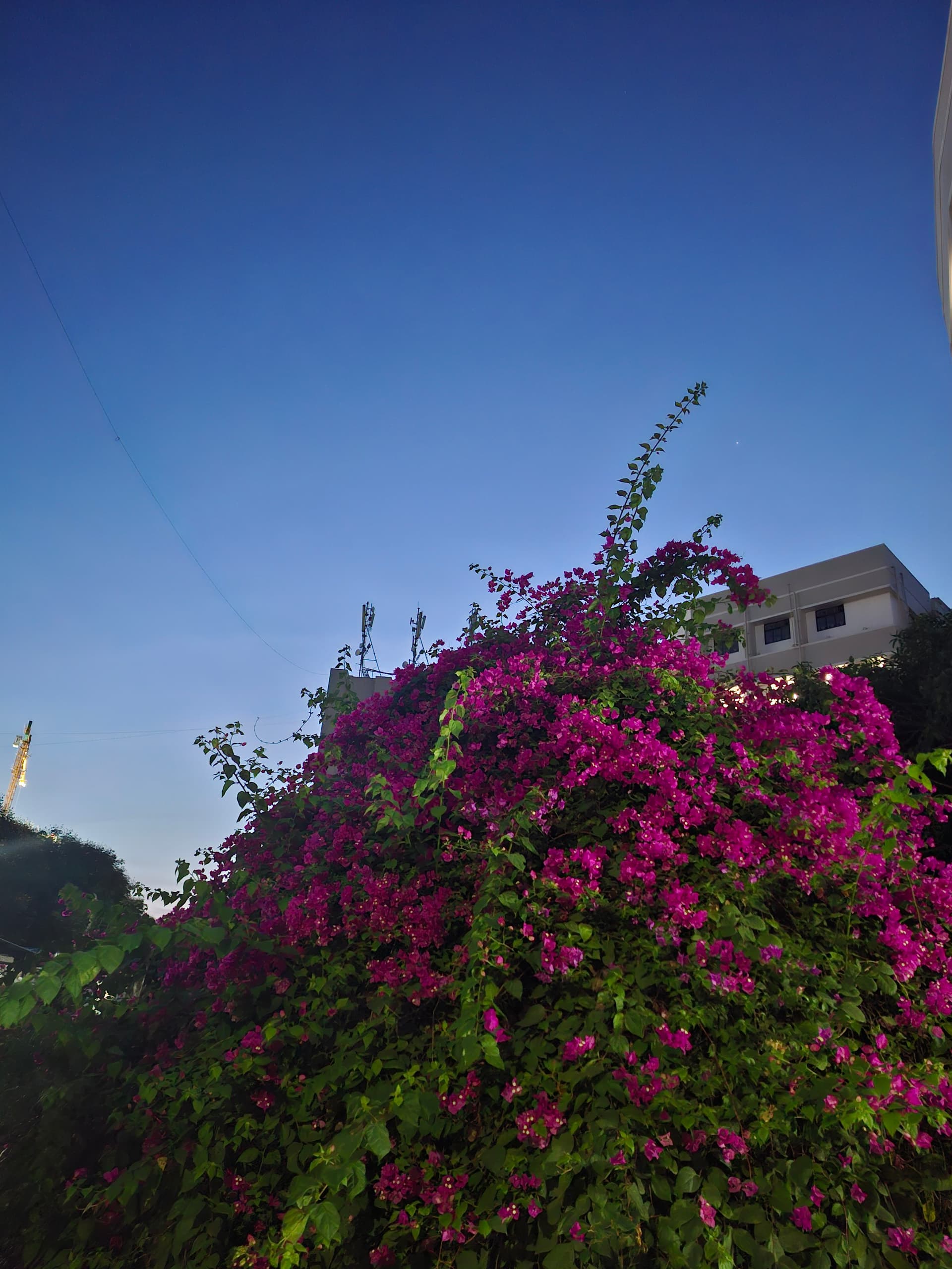 Abhiraj — photo 6